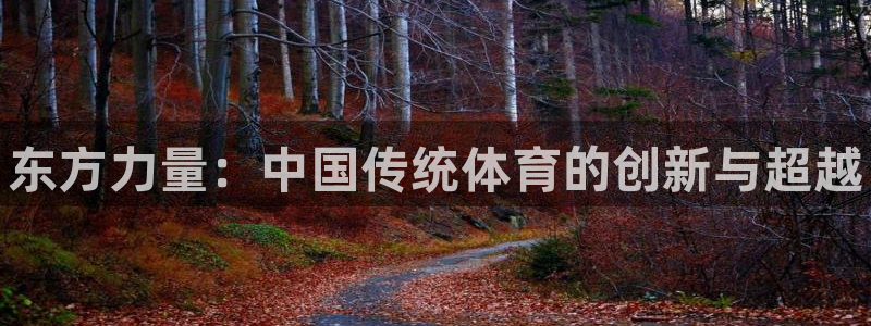 vsport体育官方正版app新能源：东方力量：中国传统体育