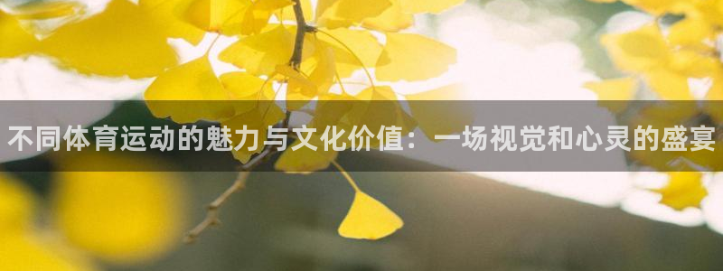 vsport体育官网下载招商电话地址查询