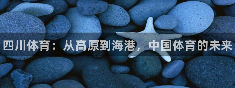 vsport体育官网下载平台注册要钱吗安全吗：四川体
