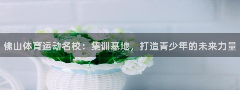 vsport体育官网下载