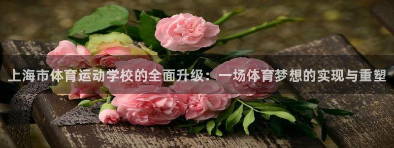 vsport体育官方正版app科技