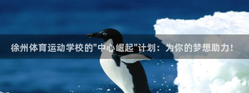 vsport体育官方正版app集团官网首页网址