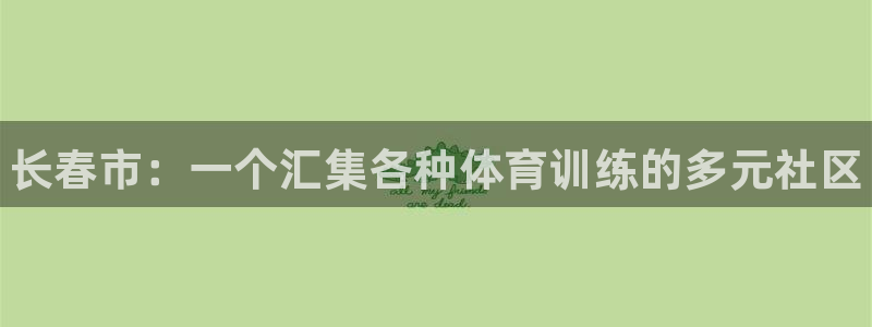 vsport体育官网下载软件