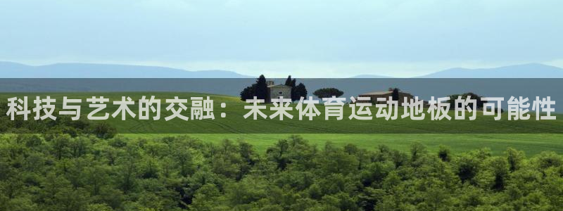 vsport体育官网下载软件：科技与艺术的交融：未来