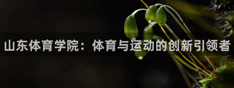 vsport体育官网下载招商电话地址查询