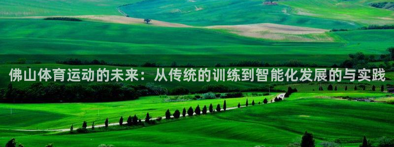 vsport体育官网下载联系电话：佛山体育运动的未来：从传统