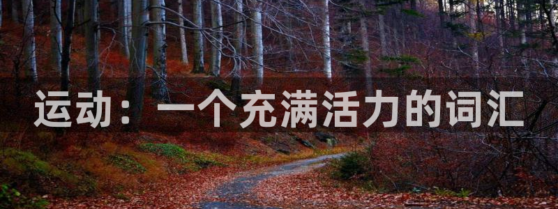 vsport体育官方正版app开户