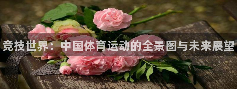 vsport体育官网下载招商电话是多少号码：竞技世界：中国体