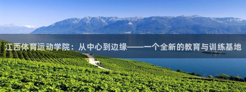 vsport体育官方正版app五金厂：江西体育运动学