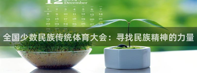 vsport体育官方正版app娱乐下载：全国少数民族