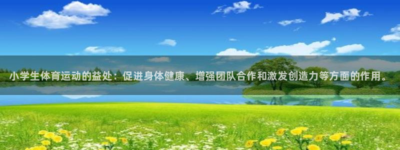 vsport体育官网下载软件：小学生体育运动的益处：
