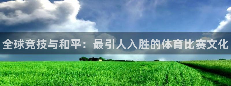 vsport体育官网下载是干嘛的公司