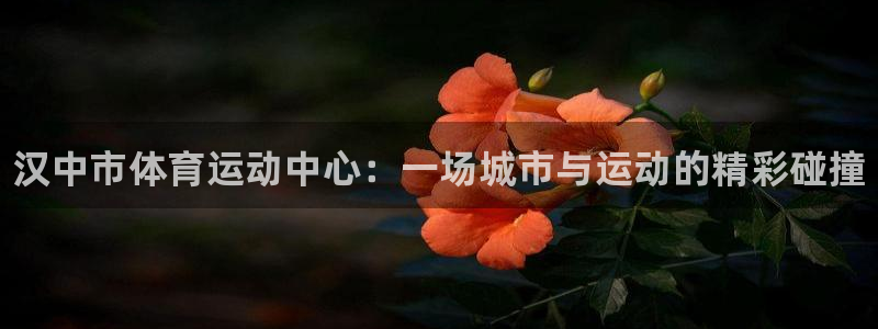 vsport体育官方正版app官方：汉中市体育运动中
