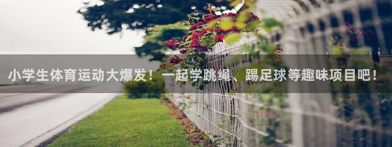 vsport体育官网下载招商电话号码查询是多少：小学