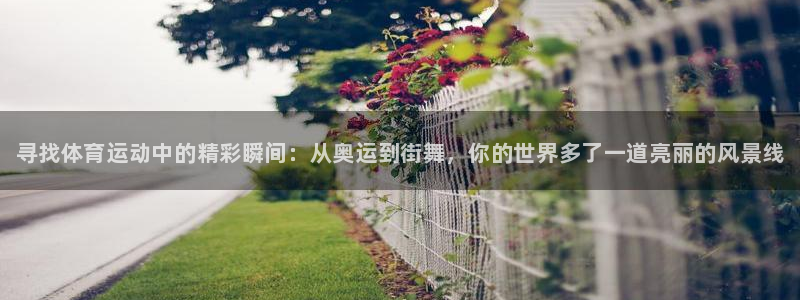 vsport体育官网下载招商电话是多少啊