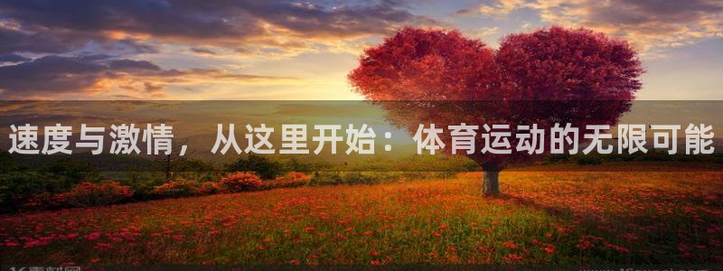 vsport体育官网下载招商电话号码查询是多少：速度