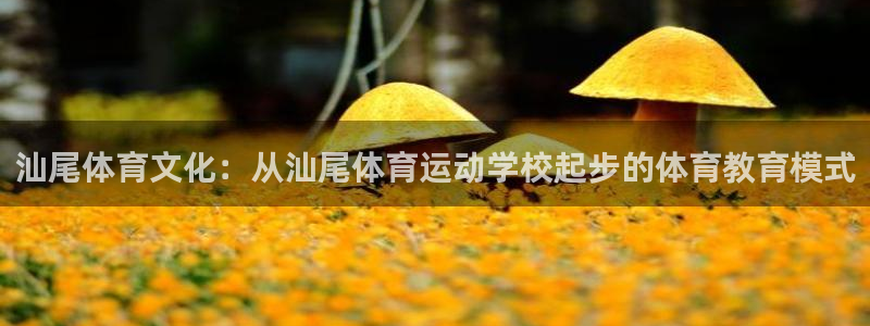 vsport体育官网下载是干嘛的公司：汕尾体育文化：从汕尾体