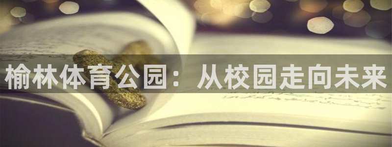 vsport体育官网下载招商电话地址：榆林体育公园：从校园走
