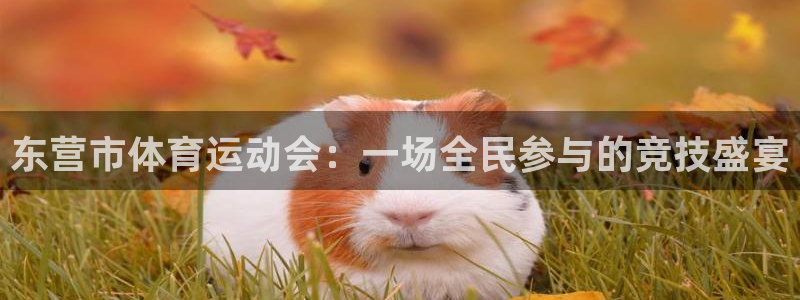 vsport体育官方正版app官方