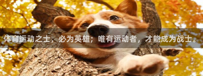 海南vsport体育官网下载发展怎么样：体育运动之士，必为英