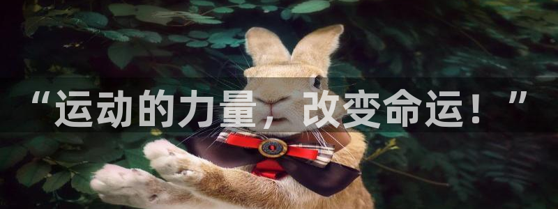 vsport体育官方正版app科技