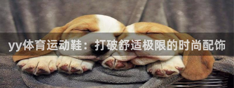 vsport体育官方集团官网：yy体育运动鞋：打破舒
