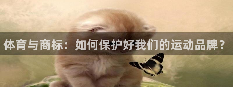 注册vsport体育官方正版app：体育与商标：如何