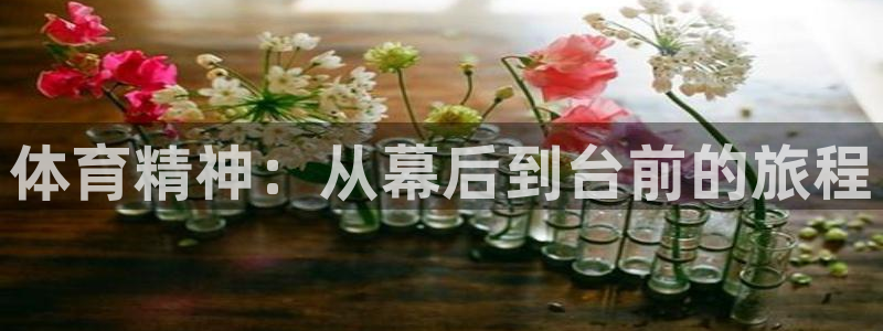 vsport体育官网下载招商：体育精神：从幕后到台前