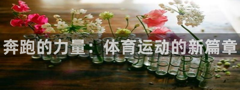 vsport体育官方正版app集团官网网址：奔跑的力量：体育