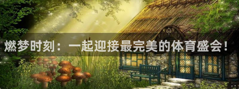 vsport体育官网下载平台：燃梦时刻：一起迎接最完