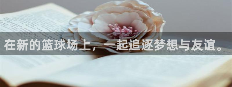 vsport体育官方正版app新能源：在新的篮球场上