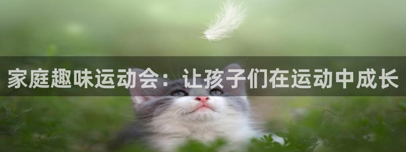 vsport体育官网下载招商电话是多少：家庭趣味运动会：让孩