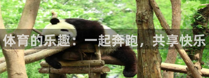vsport体育官网下载注册：体育的乐趣：一起奔跑，共享快乐