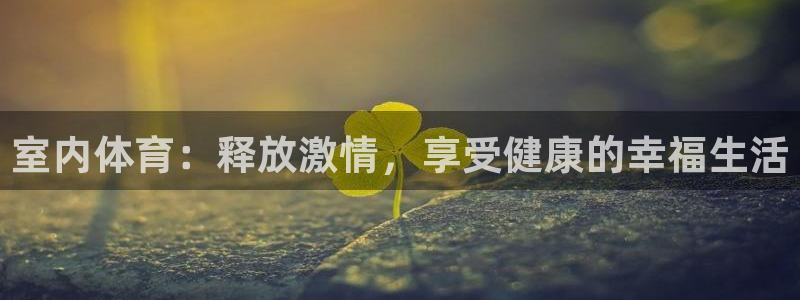 vsport体育官网下载招商电话：室内体育：释放激情