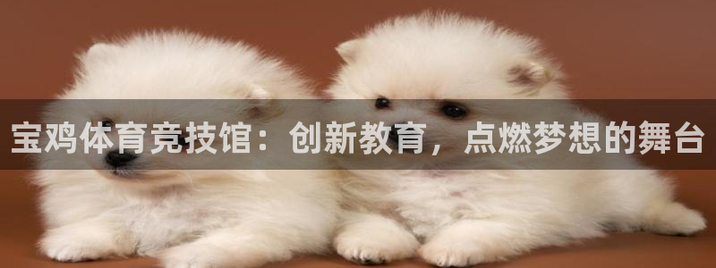 vsport体育官网下载平台注册要钱吗安全吗