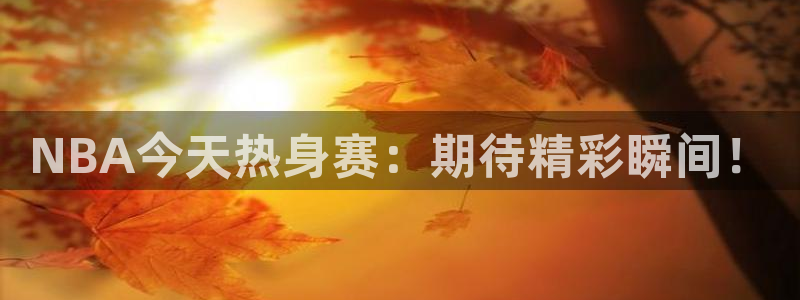 玩球直播app下载：NBA今天热身赛：期待精彩瞬间！