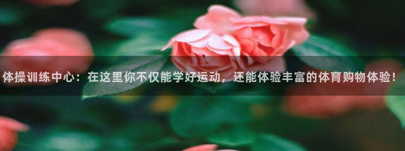 vsport体育平台app下载安装免