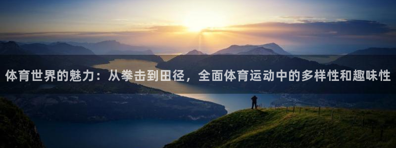 vsport体育在线官网：体育世界的魅力：从拳击到田径，全面