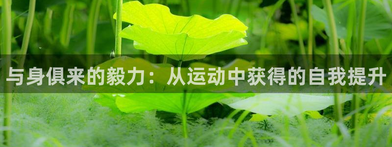 vsport体育在线官网阿根廷：与身俱来的毅力：从运动中获得