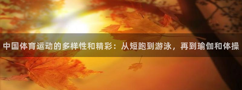 VSport体育官网入口：中国体育运