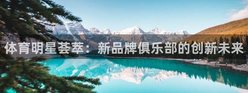 vsport体育平台app：体育明星