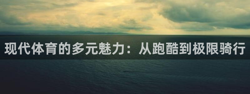  vsport体育：现代体育的多元魅力：从跑酷到极限骑行