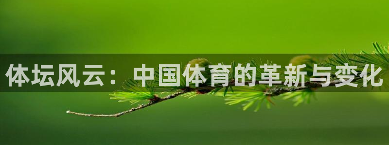 vsport体育官网：体坛风云：中国体育的革新与变化