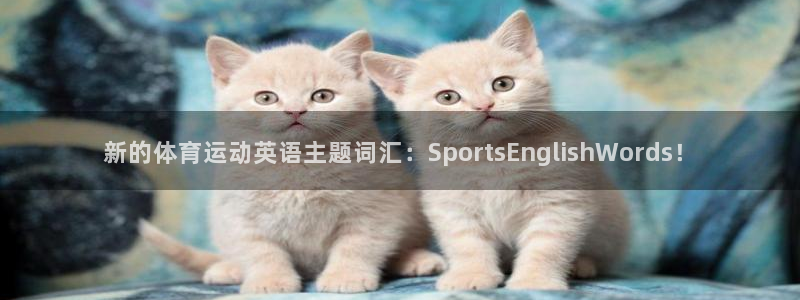 vsport体育官网：新的体育运动英语主题词汇：Sports