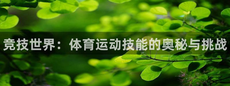  vsport体育官网：竞技世界：体育运动技能的奥秘与挑战