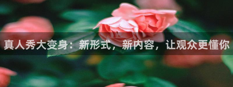 玩球直播在线：真人秀大变身：新形式，新内容，让观众更懂你