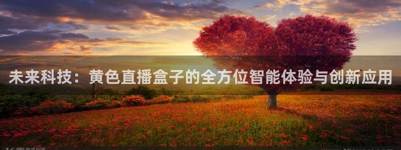 玩球直播最新版