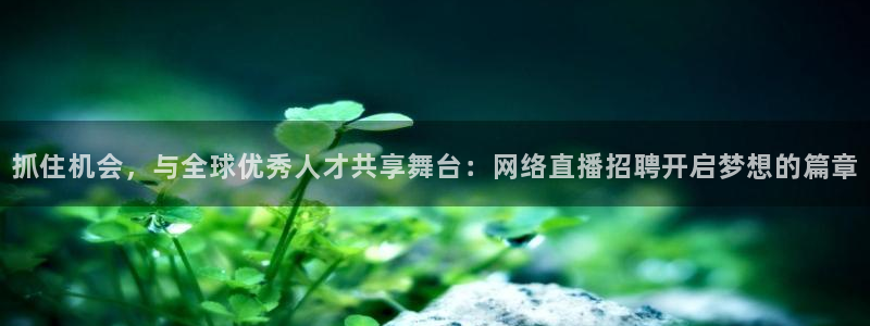 玩球直播app苹果：抓住机会，与全球优秀人才共享舞台：网络直播招聘开启梦想的篇章