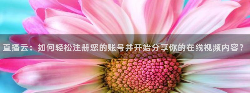 玩球直播nba