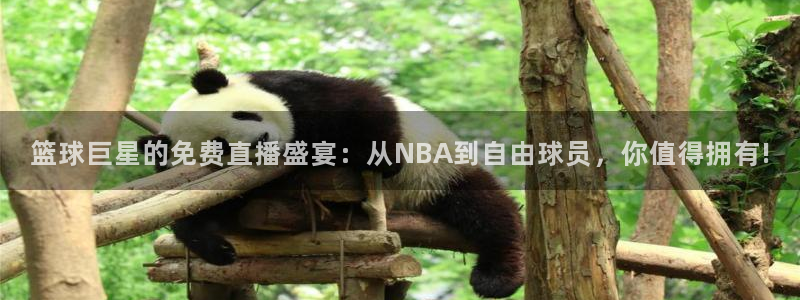 nba直播玩球